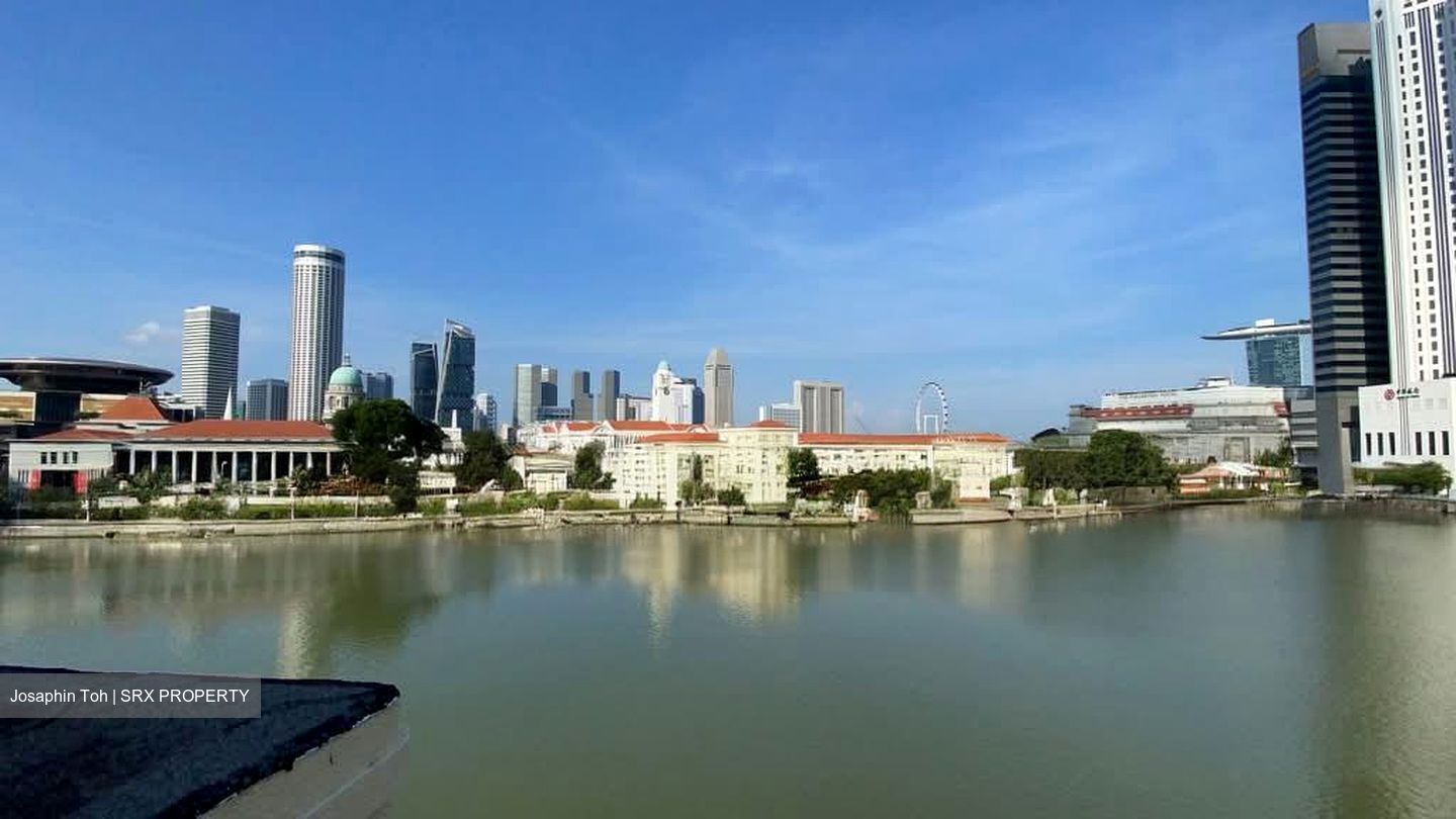 Boat Quay Conservation Area (D1), Shop House #543456511